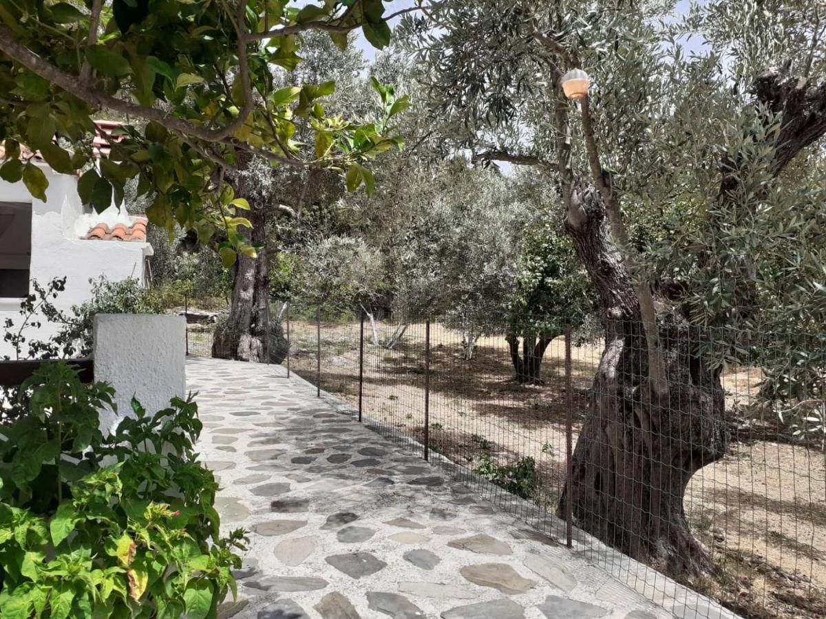 Villa Tillia Panormos  Exterior photo