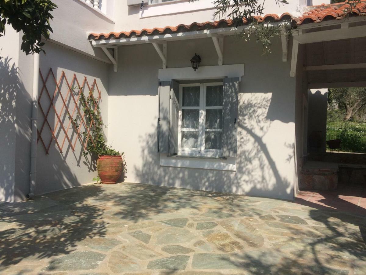 Villa Tillia Panormos  Exterior photo